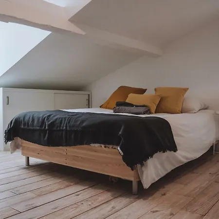 Large, Very Bright Loft In The City Centre *