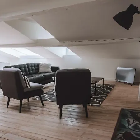 Large, Very Bright Loft In The City Centre Apartment *