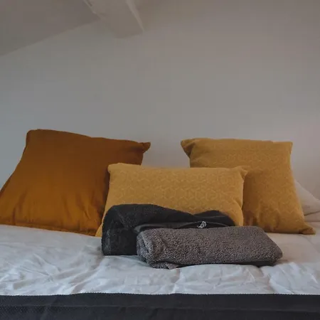 Apartment Large, Very Bright Loft In The City Centre