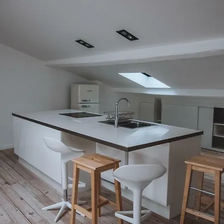 Large, Very Bright Loft In The City Centre Apartment Toulouse