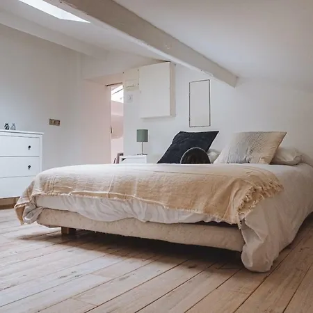 Large, Very Bright Loft In The City Centre * Toulouse