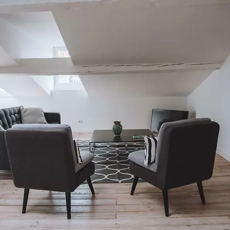 Large, Very Bright Loft In The City Centre * Toulouse